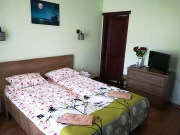Фото номера Двухместный номер с 1 кроватью или 2 отдельными кроватями Гостевой дом Pensiunea Adicris г. Boholt 8